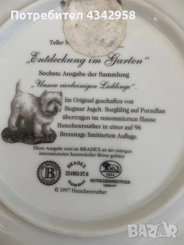 Hutschenreuther.Чиния « Намерено в градина», снимка 6 - Антикварни и старинни предмети - 50812153