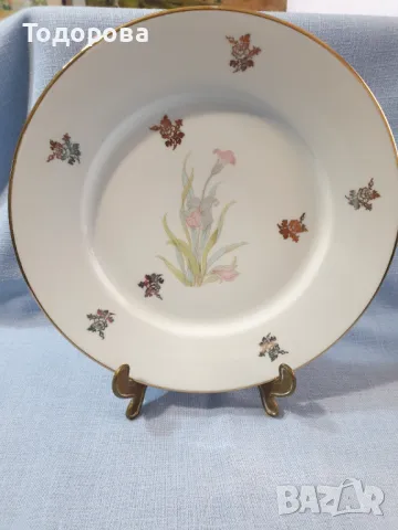 Голяма порцеланов чиния-поднос-Limoges, снимка 4 - Сервизи - 47311674