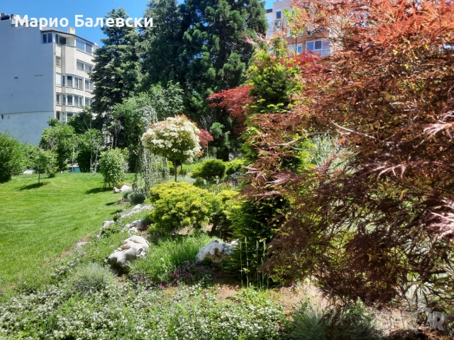 Озеленяване и поддръжка на градини , снимка 16 - Други - 53493481