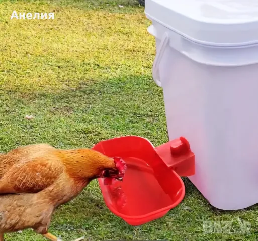 Голяма автоматична поилка