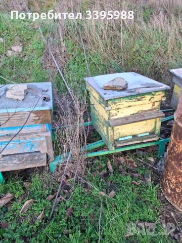 Кошери за пчели