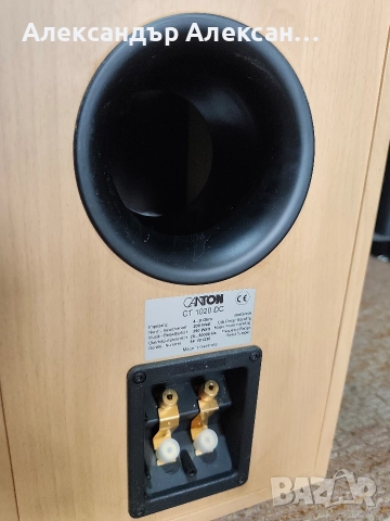 Canton CT-1020DC, снимка 4 - Тонколони - 52903847