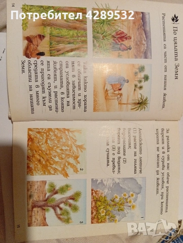 Larousse Моята първа енциклопедия. Растенията., снимка 3 - Детски книжки - 53433787