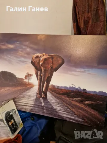 Картина Слонче размер 1.50/1.00, снимка 2 - Картини - 50007895