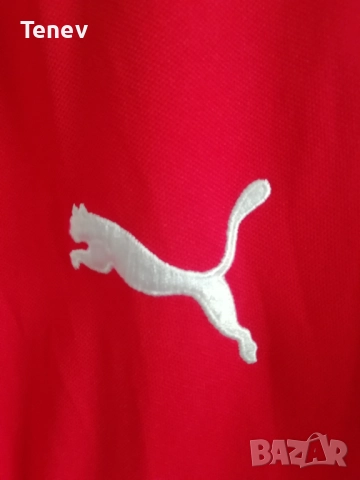 Austria Centenary 2004 Puma оригинална тениска фланелка Австрия 100 години Shirt Trikot Jersey , снимка 7 - Тениски - 52912060