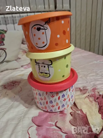 Домашни помощнищи от TUPPERWARE , снимка 13 - Други - 38288742