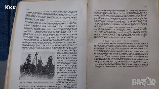 Основи на зеленчукопроизводството в България - 1949г., снимка 3 - Специализирана литература - 37343829