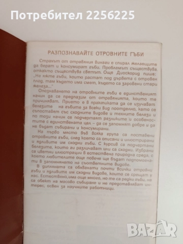 ЛОТ Гъбарство, снимка 9 - Специализирана литература - 51794307