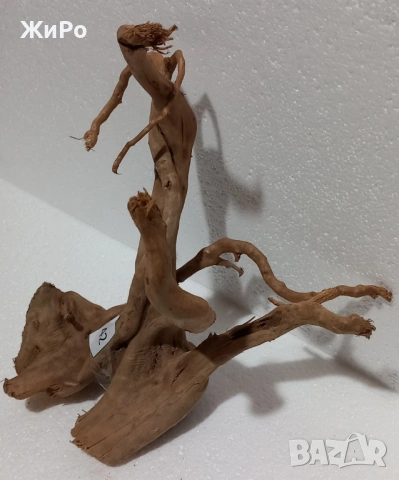 Корен от Азалия /декорация/ 42, снимка 3 - Други - 49874676