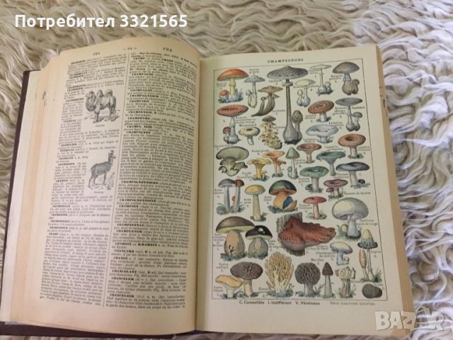 Френска енциклопедия, снимка 5 - Антикварни и старинни предмети - 38311681
