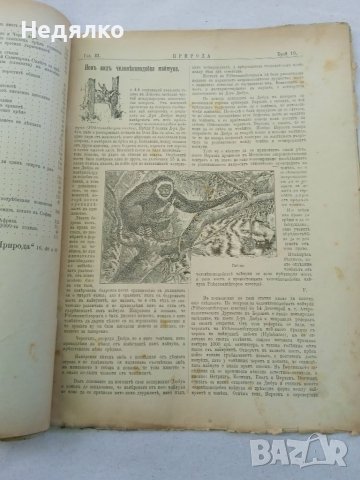 Списание Природа,1896г,печати, снимка 8 - Антикварни и старинни предмети - 37780277