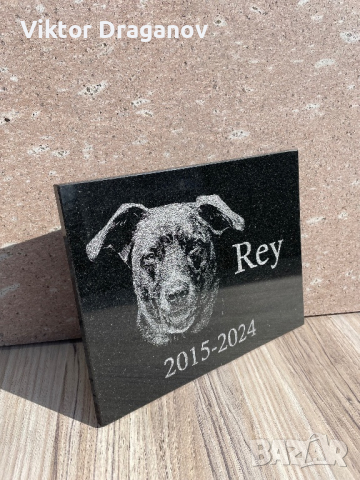Персонализирана надгробна плоча за домашни любимци със снимка, снимка 2 - За кучета - 44884125