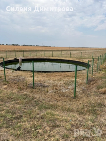 Хале за производство и складова дейност близо до Плевен, снимка 8 - Производствени сгради - 51756947