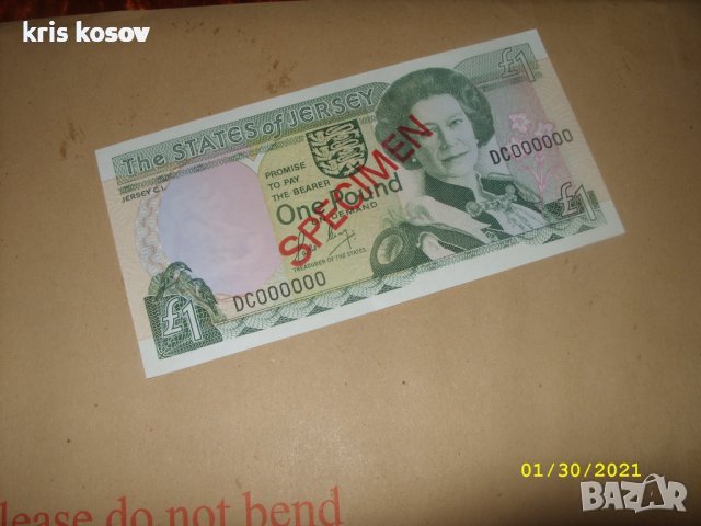 1 паунд Джърси 1989 г/SPECIMEN, снимка 2 - Нумизматика и бонистика - 36731157