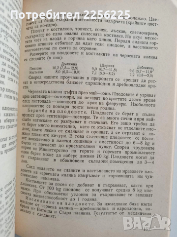 Нашите горски плодове и тяхното използване, снимка 2 - Специализирана литература - 52920634