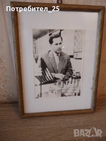 Ретро снимка на шахматиста Паул Керес