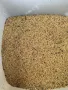Продавам лудо просо , снимка 2