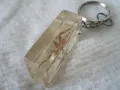 Стари ключодържатели Насекоми, снимка 5