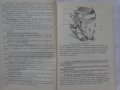 Книга инструкция за експлуатация на Трактор Беларус ЮМЗ-6КМ  на Руски ез. 1988 год СССР, снимка 5