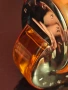 Bvlgari Omnia Coral 65 ml, снимка 2