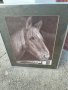 Графика на конска глава, снимка 1