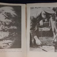 Разкази За Гагарин, снимка 3 - Специализирана литература - 38733581