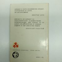 Гюстав Флобер - Писма до Луиз Коле , снимка 3 - Художествена литература - 43502198