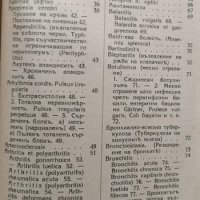 Диагностично-терапевтиченъ наръчникъ и терапевтично-диагностична техника В. Димитров, 1939г., снимка 3 - Специализирана литература - 28954125