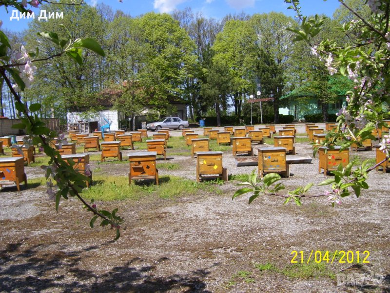 Кошери за пчели, с и без магазини, снимка 1