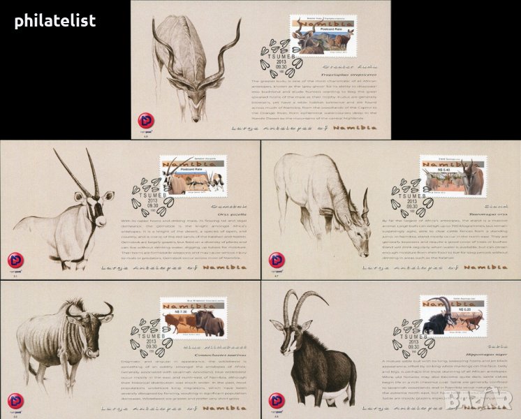 Намибия 2013 - 5 броя Карти Максимум - Комплектна серия, снимка 1