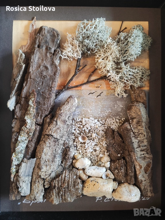 "Бряг", снимка 1