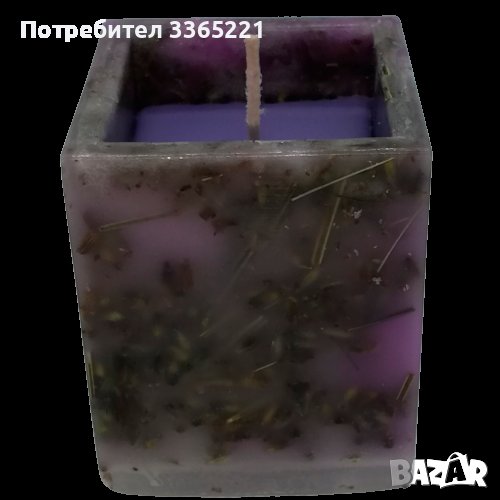 Лавандула свещ, снимка 1