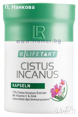 ЛР ЛАЙФТАКТ ЦИСТУС ИНКАНУС капсули, снимка 1