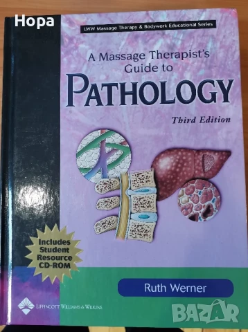 Учебници на английски език за масажисти, снимка 9 - Чуждоезиково обучение, речници - 51348706