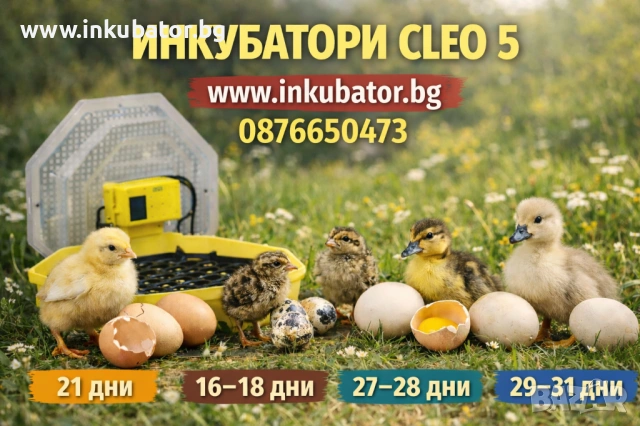ИНКУБАТОРИ за яйца Клео 5, официален вносител за България