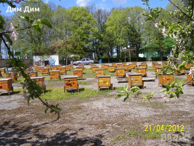 Кошери за пчели, с и без магазини, снимка 1 - За пчели - 40604358