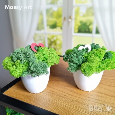 За 8-ми Март декорации със скандинавски мъх, снимка 5 - Други - 53267316