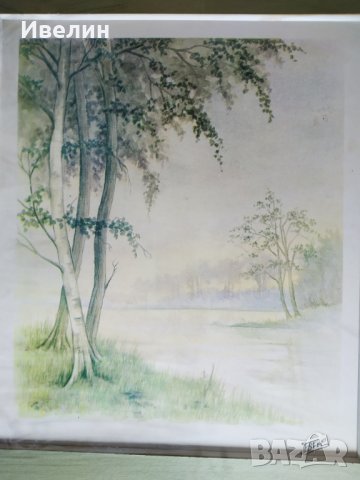 картина-пейзаж /принт/