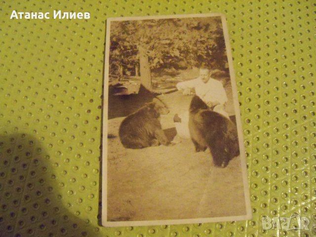 Стара картичка-снимка мечкар