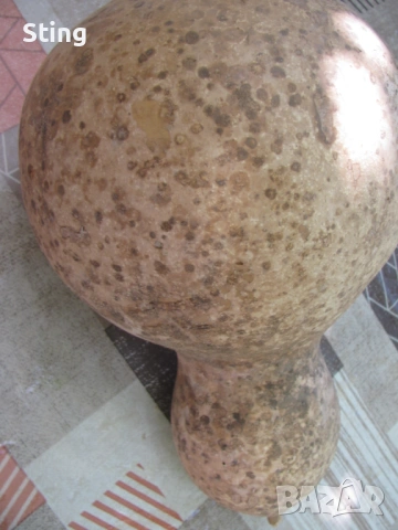 Тиква Кратуна узряла, суха ,твърда пълна със Семена , може за колекция, снимка 3 - Градински цветя и растения - 53044264