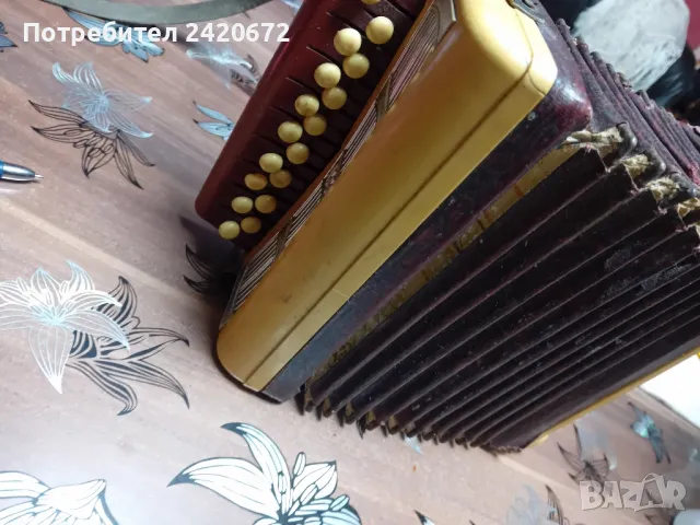 акордеон-хармоника   БАЯН, снимка 2 - Акордеони - 48799795