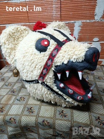 Глави на мечки . Голями, снимка 8 - Други стоки за животни - 52850788