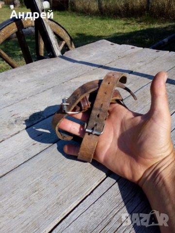 Стари котки #2, снимка 4 - Антикварни и старинни предмети - 26328331