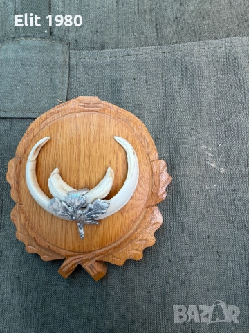 продавам ловни трофей , снимка 10 - Оборудване и аксесоари за оръжия - 52667932