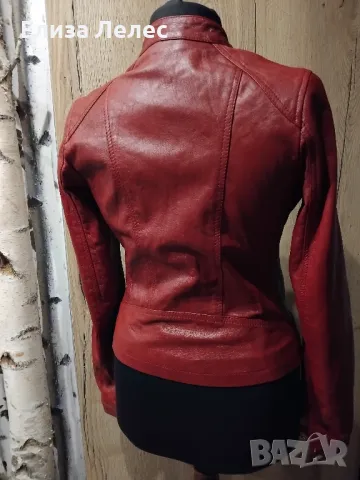 Molltan дамско яке от естествена кожа размер 34, снимка 4 - Якета - 49702631