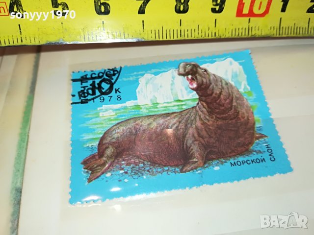 МАРКА 10 1978 СССР МОРСКОЙ СЛОН 1303231548, снимка 8 - Филателия - 39984954
