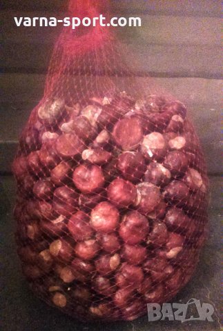 Продавам кестени. Лечителят Петър Димков:  Тези малки, кафяви, лъскави топчици са удивителни акумула, снимка 2 - Други стоки за дома - 26843532