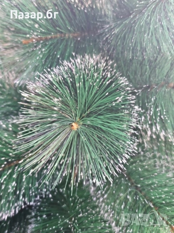 Коледна елха с бели заскрежени връхчета, снимка 4 - Декорация за дома - 52501707