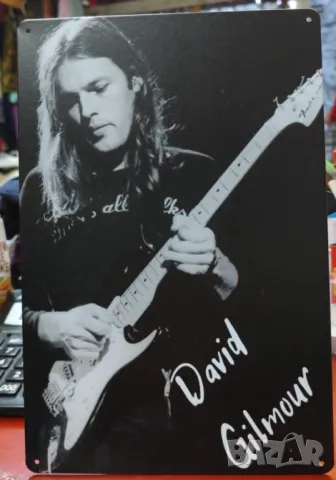 David Gilmour-метална табела(плакет)