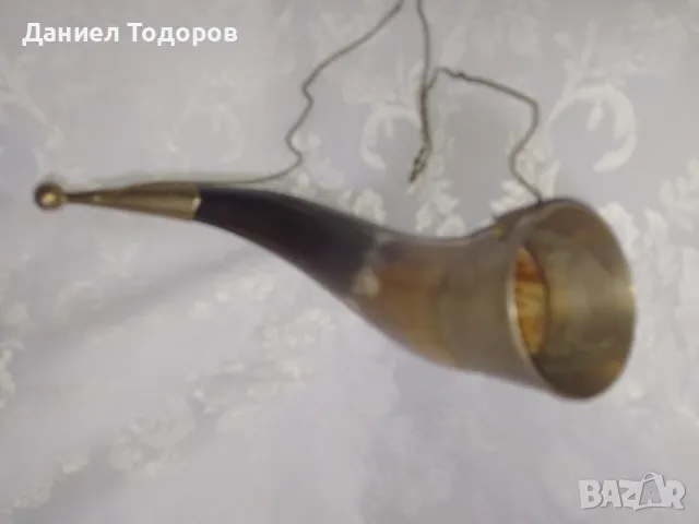 Стар Рог с Бронзов Обков, Чаша  от рог, снимка 6 - Декорация за дома - 49482747